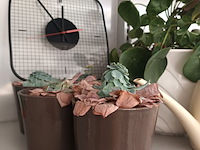 Lot 33 - decoratie. 16 stuks - afbeelding 2 van  4
