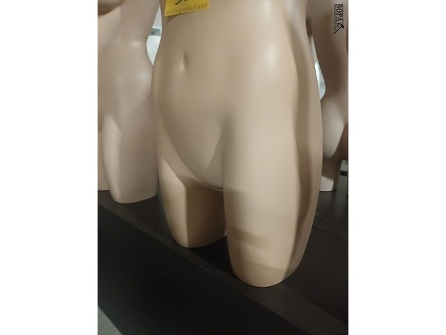 Lot 33 - huidskleur torso vrouw - afbeelding 3 van  3
