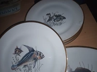 Lot 33 - visborden bavaria. 6 stuks - afbeelding 3 van  5
