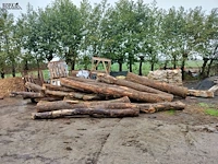 Lot 330 - boomstammen. 15 stuks