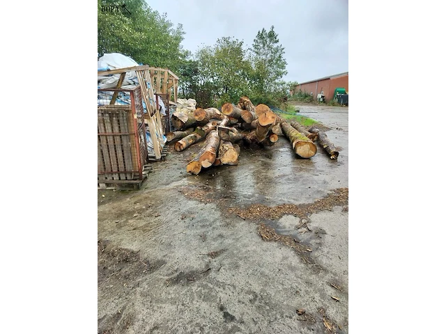 Lot 330 - boomstammen. 15 stuks - afbeelding 2 van  3