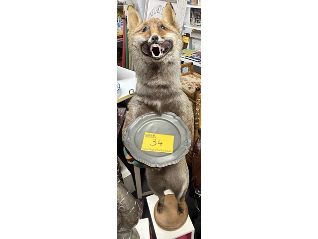 Lot 34 - vintage taxidermiepreparaat rode vos - butlermodel - afbeelding 1 van  4