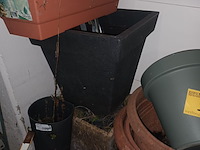 Lot 35 - bloempotten en bloembakken. 11 stuks - afbeelding 2 van  4