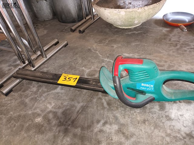 Lot 351 - haagschaar bosch - afbeelding 2 van  3