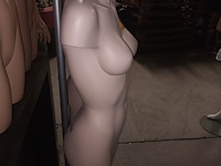 Lot 36 - huidskleur torso vrouw met statief - afbeelding 3 van  3