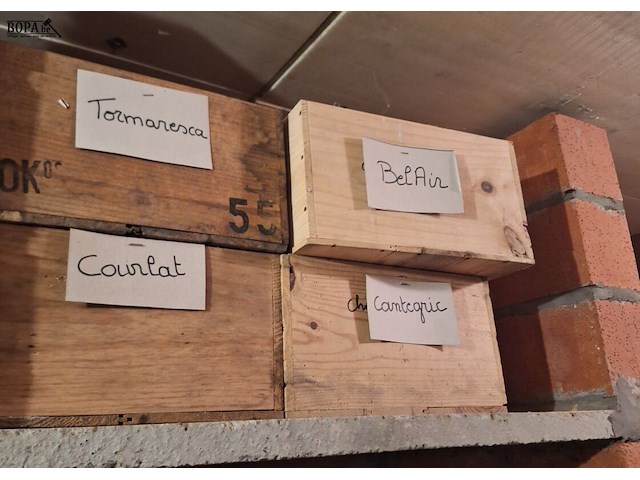Lot 366 - lot wijnkistjes 10 stuks - afbeelding 4 van  4