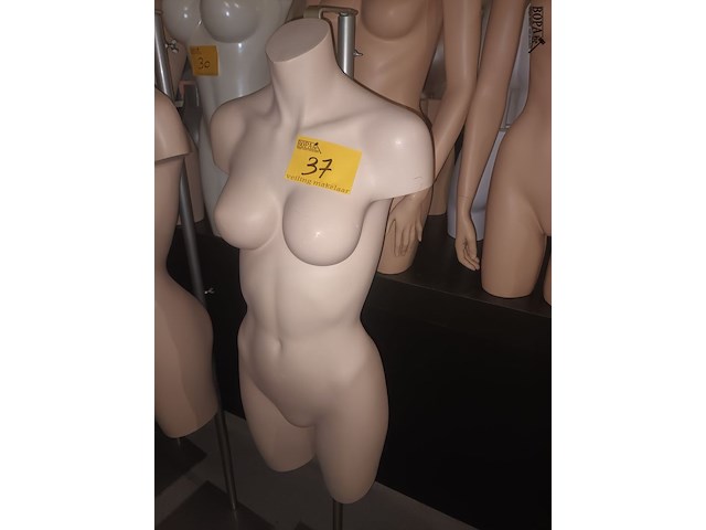 Lot 37 - huidskleur torso vrouw met statief - afbeelding 1 van  3