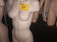 Lot 37 - huidskleur torso vrouw met statief - afbeelding 1 van  3
