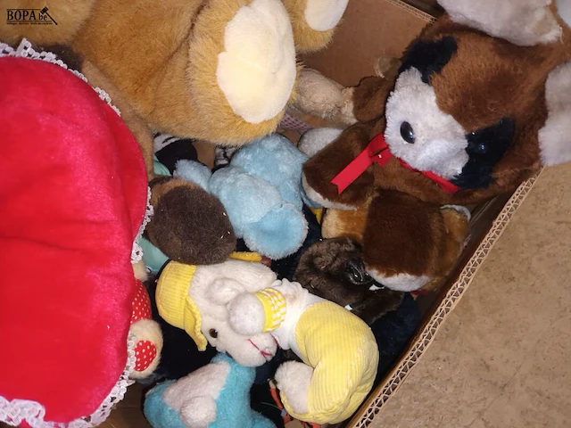 Lot 37 - knuffels. 1 doos - afbeelding 3 van  3