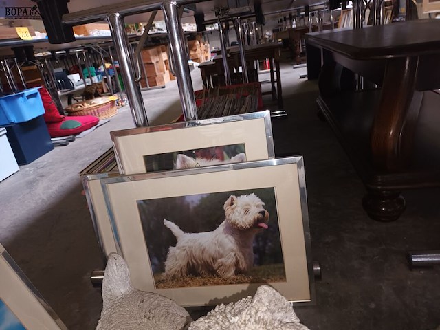 Lot 372 - tuinbeeld en kaders hondje - afbeelding 4 van  5