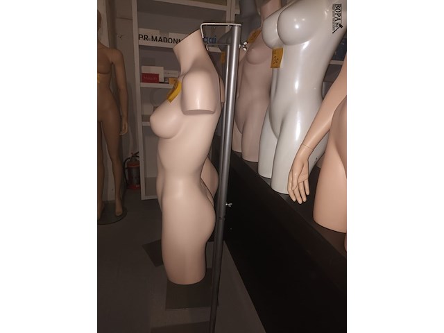 Lot 38 - huidskleur torso vrouw met statief - afbeelding 3 van  3