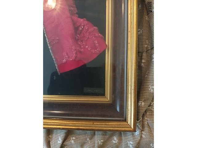 Lot 385 - kader baljurk - afbeelding 3 van  3