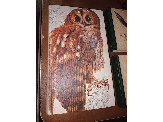 Lot 386 - natuurboeken. 4 stuks - afbeelding 4 van  5