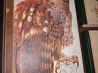 Lot 386 - natuurboeken. 4 stuks - afbeelding 4 van  5