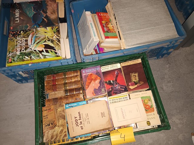 Lot 4 - franstalige boeken. 3 bakken - afbeelding 1 van  6