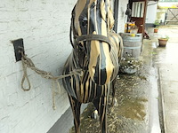 Lot 40 - levensecht decoratief paard - afbeelding 2 van  3