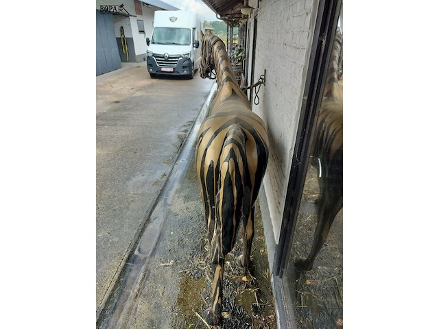 Lot 40 - levensecht decoratief paard - afbeelding 3 van  3