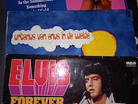 Lot 40 - muziek lp’s. 12 stuks - afbeelding 2 van  3