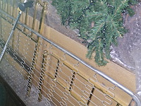 Lot 406 - kerstboom - afbeelding 2 van  2