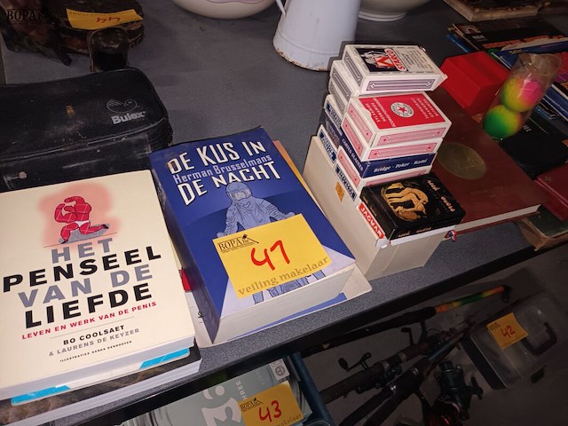 Lot 41 - boeken, kaarten en petanque ballen - afbeelding 1 van  5