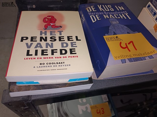Lot 41 - boeken, kaarten en petanque ballen - afbeelding 2 van  5