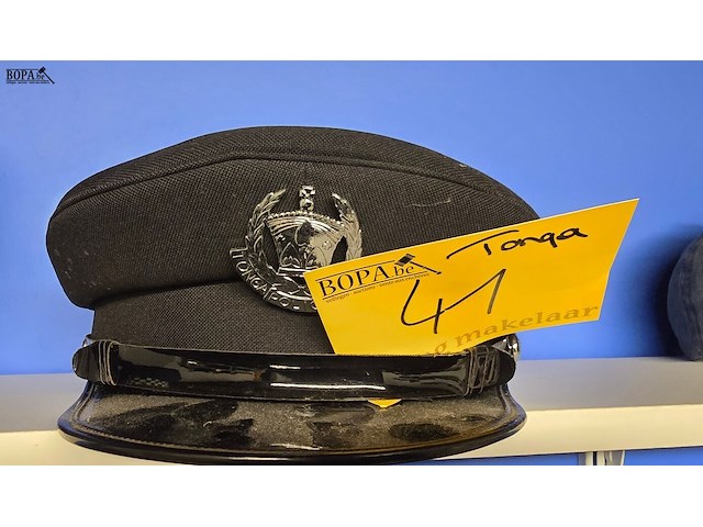 Lot 41 - tonga 1 kepie - afbeelding 1 van  2