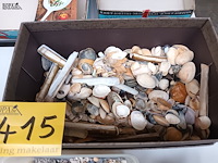 Lot 415 - schelpen, koraal en naturalia - afbeelding 2 van  5