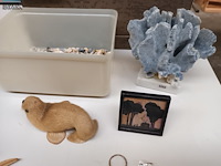 Lot 415 - schelpen, koraal en naturalia - afbeelding 4 van  5