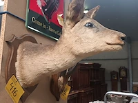 Lot 416 - taxidermie