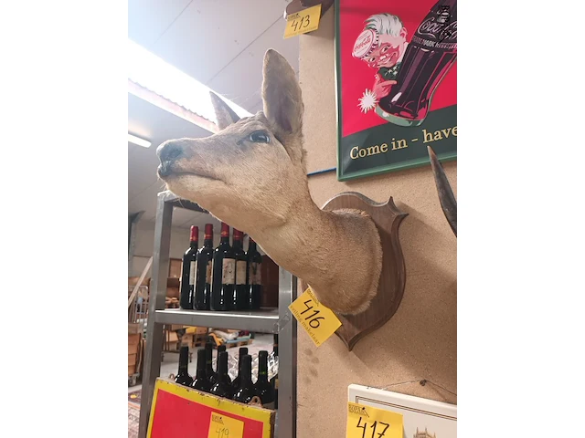 Lot 416 - taxidermie - afbeelding 2 van  4
