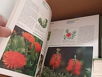 Lot 42 - bloemen en planten encyclopedie - afbeelding 3 van  3