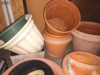 Lot 42 - bloempotten. 20 stuks - afbeelding 2 van  4