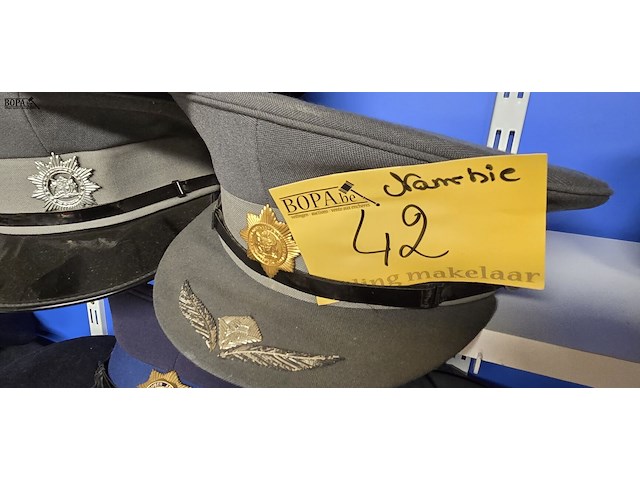 Lot 42 - namibië 3 kepies - afbeelding 4 van  4