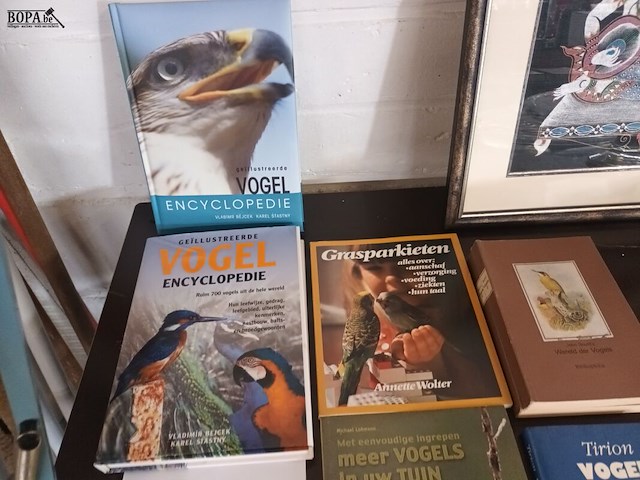 Lot 422 - boeken over vogels. 10 stuks - afbeelding 2 van  4