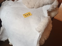 Lot 437 - schapenvel. 2 stuks - afbeelding 1 van  3