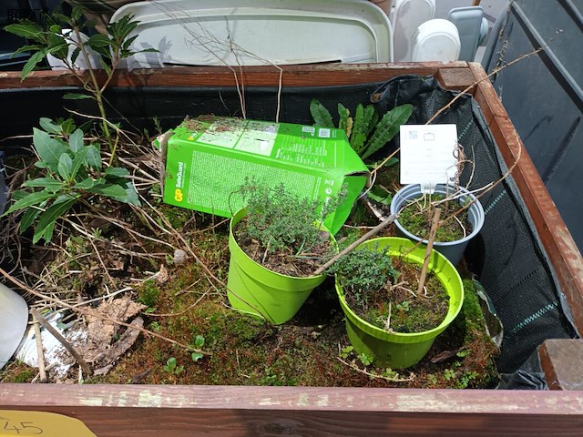 Lot 45 - houten hoge plantenbak - afbeelding 3 van  4