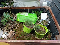 Lot 45 - houten hoge plantenbak - afbeelding 3 van  4