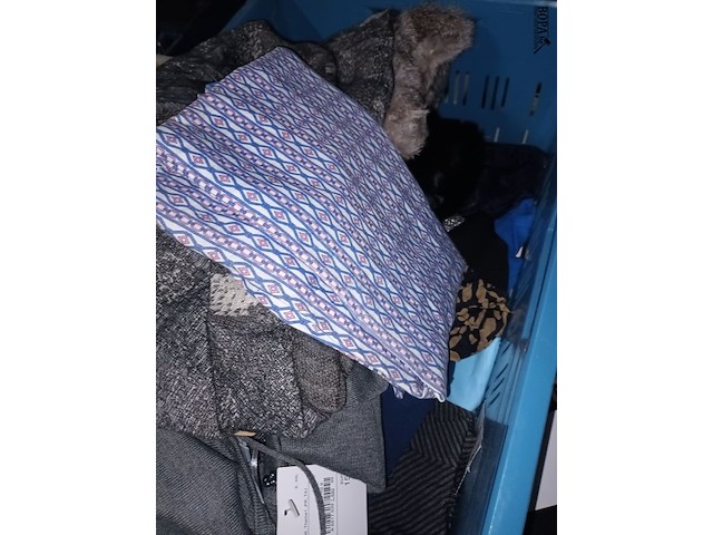 Lot 45 - kledij - afbeelding 5 van  5