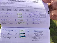 Lot 45 - paard: paul severs - draver - afbeelding 2 van  10
