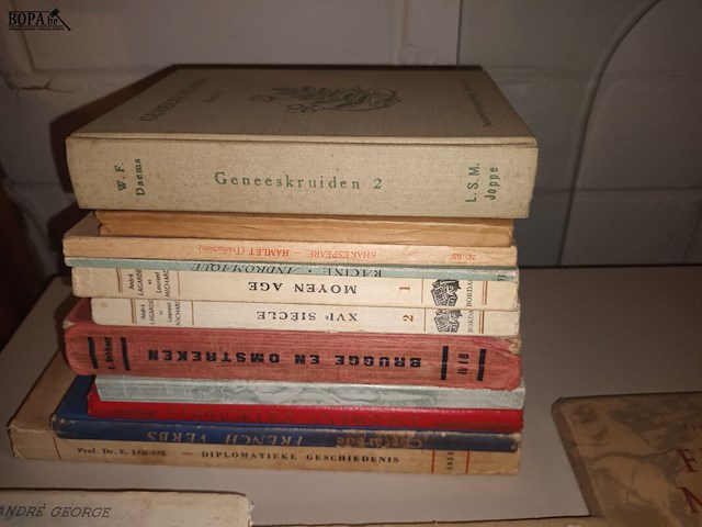 Lot 452 - oude boeken. 14 stuks - afbeelding 3 van  3