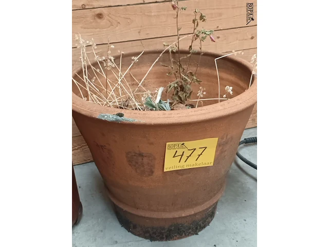Lot 477 - terracotta bloempot - afbeelding 3 van  4