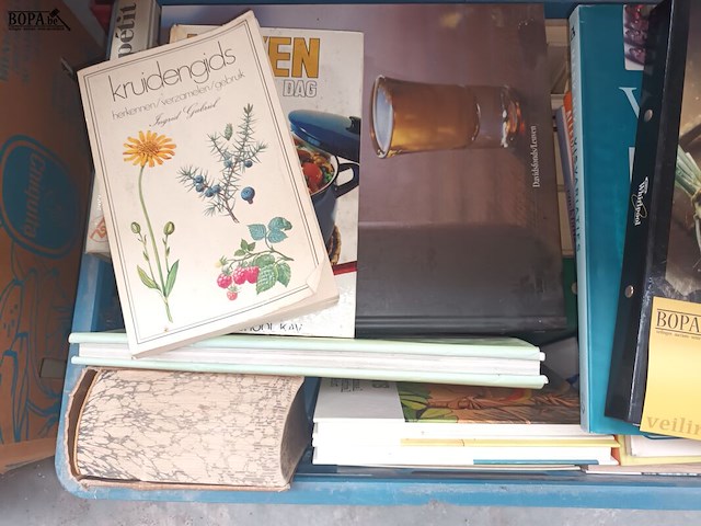 Lot 48 - boeken - afbeelding 2 van  6