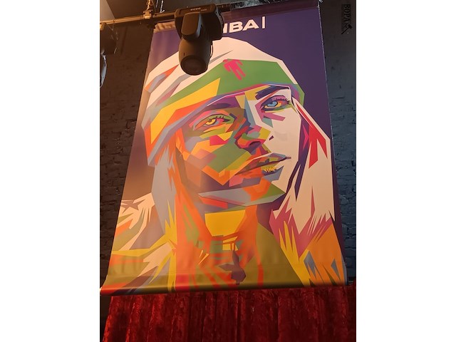 Lot 49 - zeil met afbeelding billie eilish - afbeelding 1 van  3