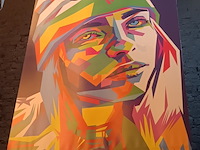 Lot 49 - zeil met afbeelding billie eilish - afbeelding 1 van  3