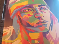 Lot 49 - zeil met afbeelding billie eilish - afbeelding 2 van  3