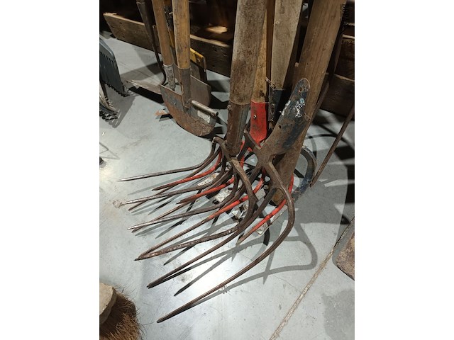 Lot 5 - borstel en hooivorken. 6 stuks - afbeelding 2 van  4