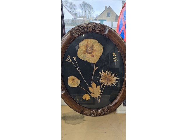 Lot 5 - ovalen kaders, la cage en een vintage herbarium - afbeelding 3 van  3