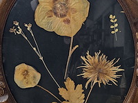 Lot 5 - ovalen kaders, la cage en een vintage herbarium - afbeelding 3 van  3