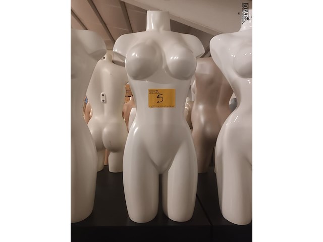 Lot 5 - witte torso vrouw - afbeelding 1 van  3