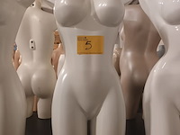 Lot 5 - witte torso vrouw